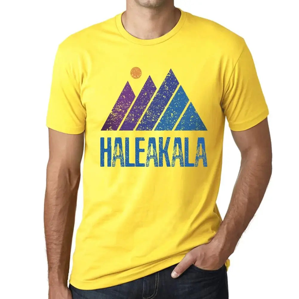 Men's Graphic T-Shirt Mountain Haleakala Eco-Friendly Limited Edition Short Sleeve Tee-Shirt Vintage Birthday Gift Novelty