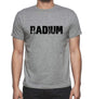 Radium Grey Mens Short Sleeve Round Neck T-Shirt 00018 - Grey / S - Casual
